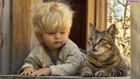 Baby&cat